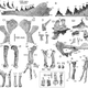 The fossilized bones recovered at Playa Media Luna.
